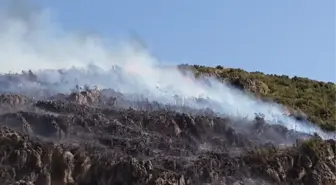 Burdur Bucak'taki Orman Yangını Kontrol Altına Alındı