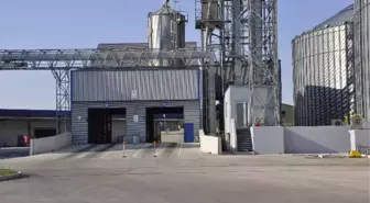 Sektörün Devi Reka Ayçiçeği Alımlarına Başladı