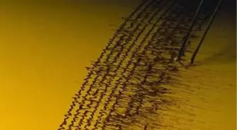 5.1 Büyüklüğündeki Deprem Korkuttu