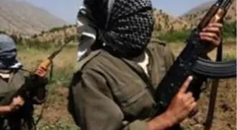 PKK, Bingöl'de Kaçırdığı 2 İşçiyi Serbest Bıraktı
