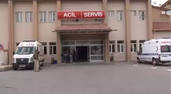 Sivas'ta Kurt Dehşeti: 4 Yaralı