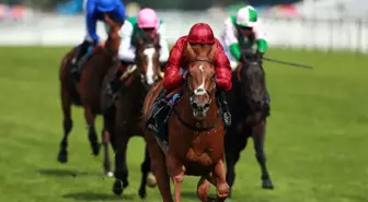 Eagle Top King George Vı ve Kraliçe Elizabeth Stakes Yarışlarına Dahil Edildi