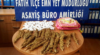 Karpuz Satıcısının Taşıdığı Okul Çantasından Esrar Çıktı