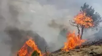Arazi Yangını Güçlükle Kontrol Altına Alındı