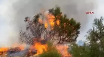 Zara'da Çıkan Yangın Kontrol Altına Alındı