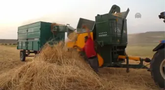 Ağrı Taşlıçay'da Çiftçilerin Patoz Mesaisi Sürüyor