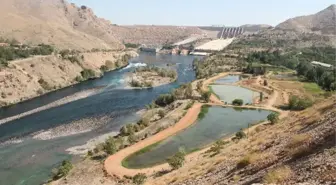 Elazığ'da Alabalık Üretiminde Düşüş