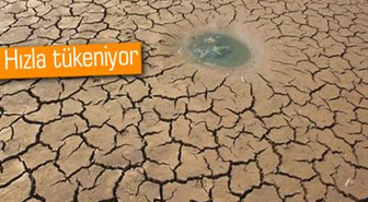 Ice Bucket Challenge'ta Ne Kadar Su Tüketildi?