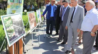 'Yeşil Rize'nin Çayı' Fotoğraf Sergisi