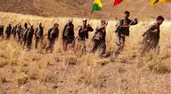 Ağrı Dağı İsyanı Anmasına, PKK de Katıldı