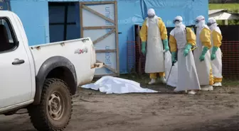 Batı ve Orta Afrika'daki Ebola Salgını