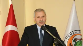 Yalova'daki Orman Yangını