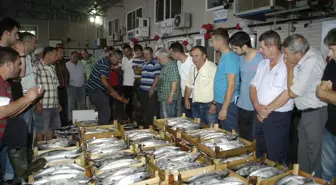 Bandırmalı Balıkçılar Av Sezonundan Umutlu