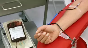 'Kan Bağışı Formlarını Samimiyetle Doldurun'