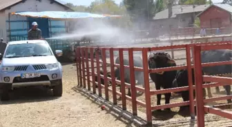 Havan Pazarı İlaçlandı...