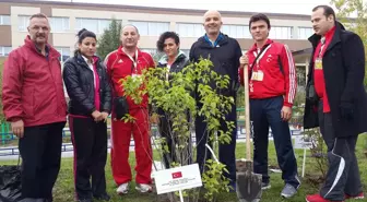 Milli Halterciler, Sibirya'da Ağaç Dikti