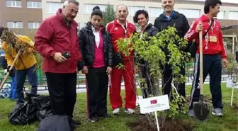 Halter Milli Takımımız Rusya'da Ağaç Dikti