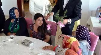 Nikah Şekeri Yerine Çam Fidanı Dağıttılar