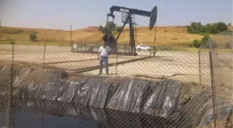 Çevreciler, Yarıkkaya Petrol Sahasındaydı!..