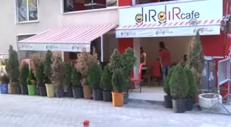 Kızartılmış Dondurma, Alternatif Lezzet Sunuyor
