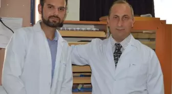 Ksü Bilim Adamları Üç Yeni Salyangoz Türü Tespit Etti
