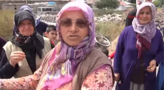 Mahallelinin Mikser İsyanı