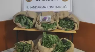 Samsun'da Uyuşturucu Operasyonu