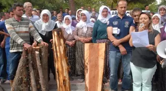 Bağsaraylılar Ağaçların Kesilmesini Protesto Etti