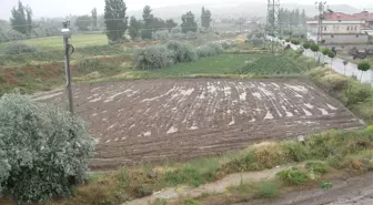 Niğde'deki Patates Tarlaları Sular Altında