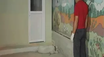 Okul Bahçesine Giren Köpek Paniğe Neden Oldu