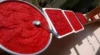 Sındırgı'da Salçalık Domates ve Biber Üretiminde Düşüş