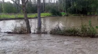 Emet'te Ekili Alanları Sel ve Dolu Vurdu
