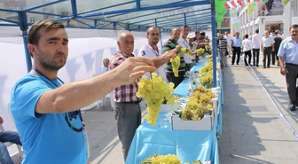 İzmit Üzüm Festivali Düzenlendi