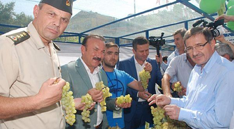 İzmit´te Üzümler Yarıştı