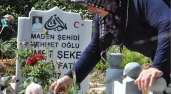 Grizu da Ölen Oğlunun Mezarı İçin Evini Taşıdı