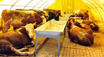 Ankara Kurban Bayramı'na Hazır