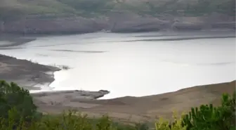 Yalova Belediye Başkanı: Sudan Siyaset Olmaz