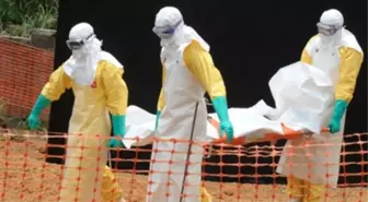 Batı ve Orta Afrika'daki Ebola Salgını