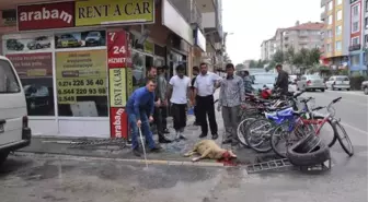 Liseli Resul'u Öldüren Trafonun Kaldırılmasını İsteyen Esnaf Kurban Kesti