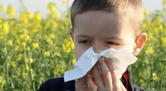 Okula Başlayan Alerjik Çocuklara Dikkat