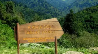 Borçka Karagöl Turizme Kazandırılıyor