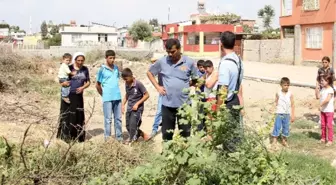 Evlerini Yılanlar Bastı