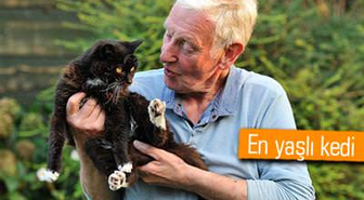 115 Yaşındaki Kedi Guinness'e Girmeye Hazırlanıyor