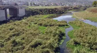 Kuraklık Karadeniz Bölgesi'ni de Vurdu