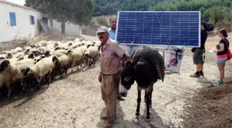 'Eşektrik' Almanya'da Belgesel Oldu