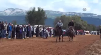 Muğla'da Rahvan At Yarışları Yapıldı