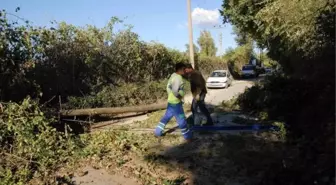 Muğla'da Fırtına Ağaç ve Direkleri Devirdi