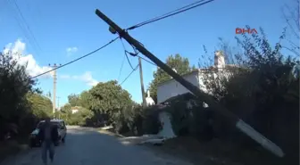 Muğla'da Fırtına Ağaç ve Direkleri Devirdi