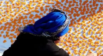 Trakya'da Kış Hazırlıkları