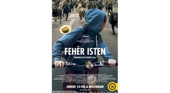 Beyaz Tanrı Filmi